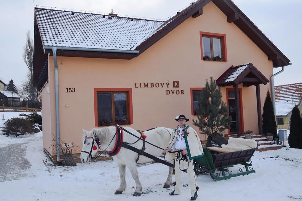 Отель Pezion Limbovy Dvor Врбов Экстерьер фото