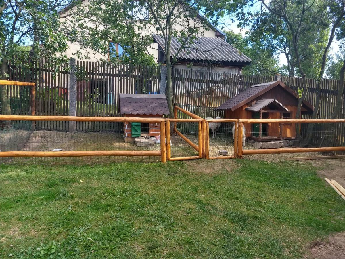 Отель Pezion Limbovy Dvor Врбов Экстерьер фото